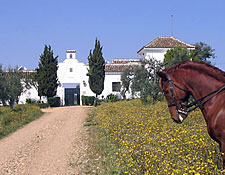 Spain-Southern Spain-Dos Olivos Dressage Clinics